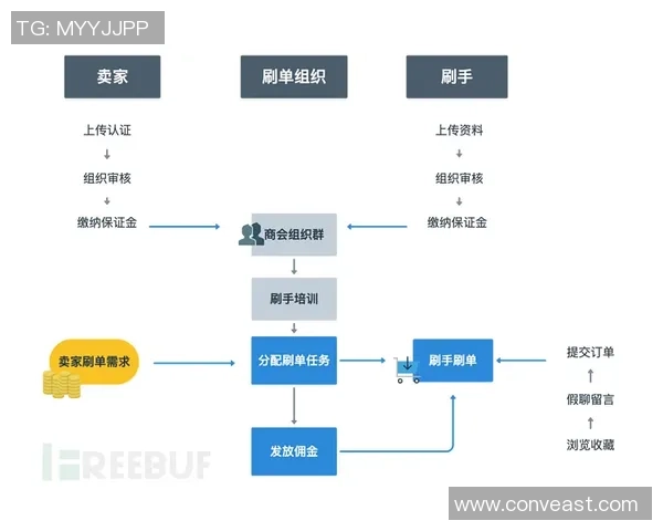 南京飞盘队的成功运营模式与发展策略深度解析